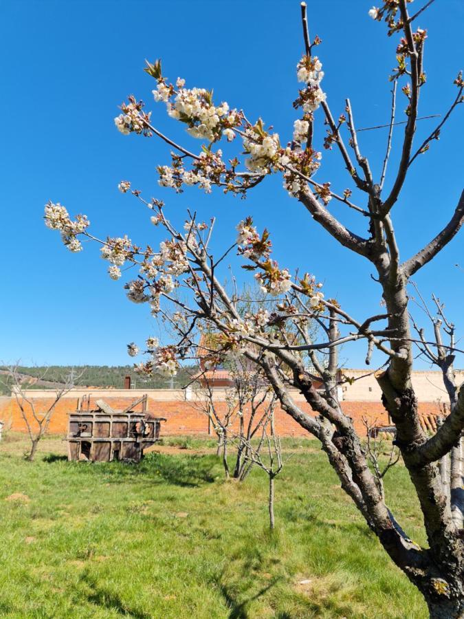 Casa Rural Las Aguedas Murias de Rechivaldo Buitenkant foto